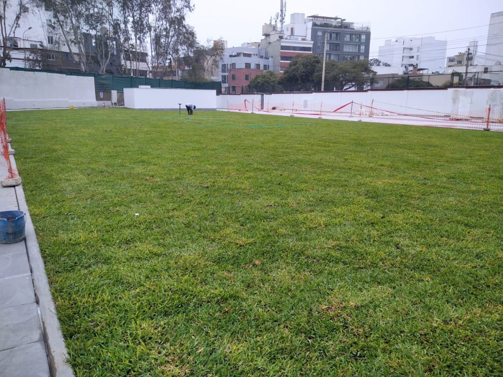 siembra-de-cesped-2-AFV servicios